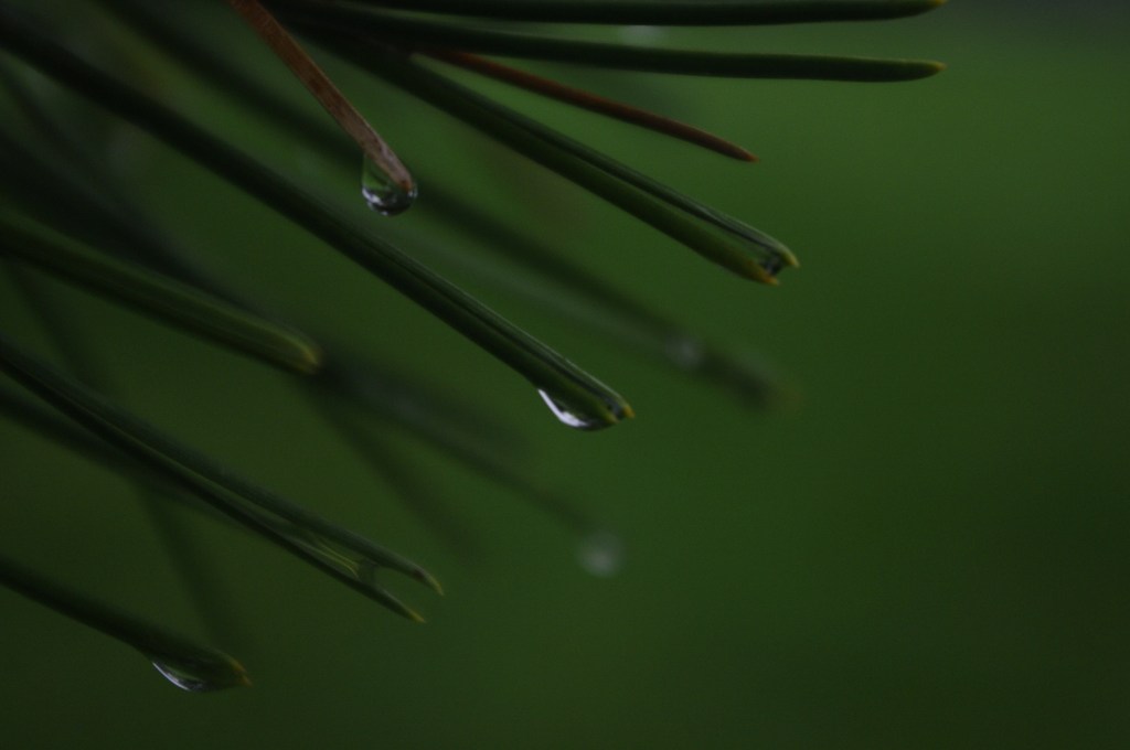 Introduction To: The Glossy&nbsp;Mage